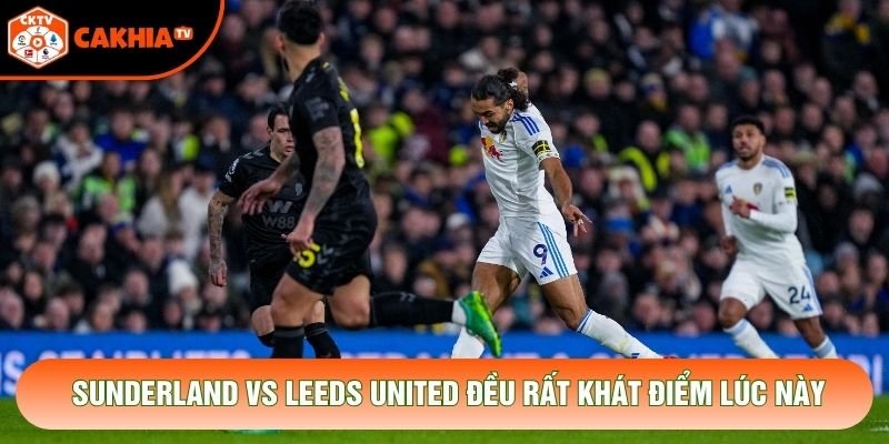 Sunderland vs Leeds United đều rất khát điểm lúc này Sunderland vs Leeds United đều rất khát điểm lúc này