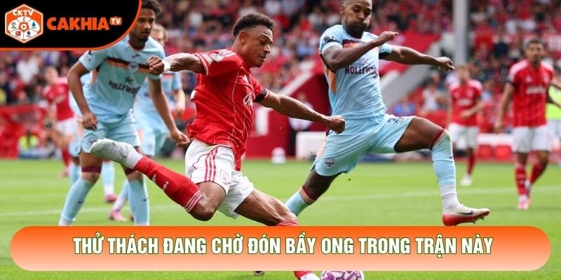 Thử thách đang chờ đón Bầy Ong trong trận này Thử thách đang chờ đón Bầy Ong trong trận này